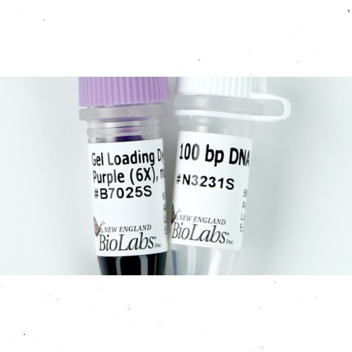 Size range: 100  bp - 1,517 bp Supplied with free vial of Gel Load...