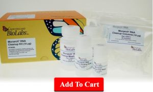 Monarch RNA Cleanup Kit (10 µg)