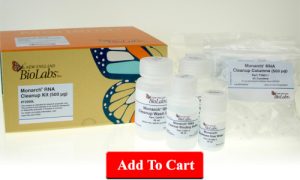 5Monarch RNA Cleanup Kit (500 µg)