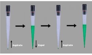 Aspirate and expel liquid for few times with your new pipette tips.