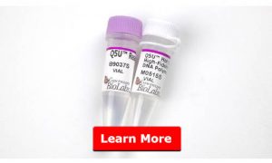 Learn more about Q5U® Hot Start High-Fidelity DNA Polymerase
